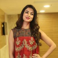 Sonal Chauhan at Dictator Movie Success Meet Stills | Picture 1208567