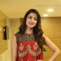 Sonal Chauhan at Dictator Movie Success Meet Stills | Picture 1208568