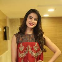 Sonal Chauhan at Dictator Movie Success Meet Stills | Picture 1208569