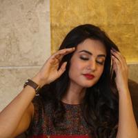 Sonal Chauhan at Dictator Movie Success Meet Stills | Picture 1208570