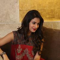Sonal Chauhan at Dictator Movie Success Meet Stills | Picture 1208571
