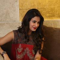 Sonal Chauhan at Dictator Movie Success Meet Stills | Picture 1208572