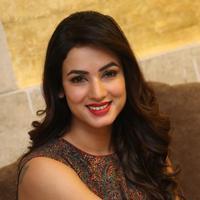 Sonal Chauhan at Dictator Movie Success Meet Stills | Picture 1208573