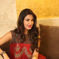 Sonal Chauhan at Dictator Movie Success Meet Stills | Picture 1208574