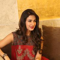 Sonal Chauhan at Dictator Movie Success Meet Stills | Picture 1208575