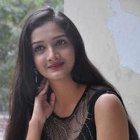 Swasthi at Kings Movie Press Meet Stills | Picture 1209803