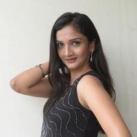 Swasthi at Kings Movie Press Meet Stills | Picture 1209813