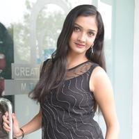 Swasthi at Kings Movie Press Meet Stills | Picture 1209833