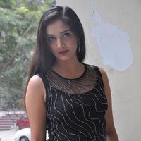 Swasthi at Kings Movie Press Meet Stills | Picture 1209834