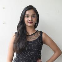 Swasthi at Kings Movie Press Meet Stills | Picture 1209838