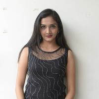 Swasthi at Kings Movie Press Meet Stills | Picture 1209852