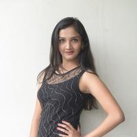 Swasthi at Kings Movie Press Meet Stills | Picture 1209855