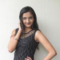 Swasthi at Kings Movie Press Meet Stills | Picture 1209858