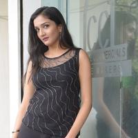 Swasthi at Kings Movie Press Meet Stills | Picture 1209861