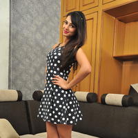Sonal Chauhan Latest Gallery | Picture 1209973