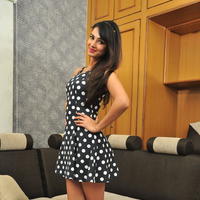 Sonal Chauhan Latest Gallery | Picture 1209974