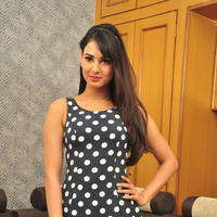 Sonal Chauhan Latest Gallery | Picture 1209977