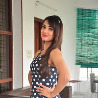 Sonal Chauhan Latest Gallery | Picture 1209992