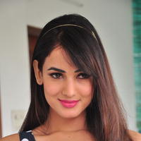 Sonal Chauhan Latest Gallery | Picture 1210014