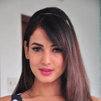 Sonal Chauhan Latest Gallery | Picture 1210015