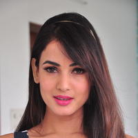 Sonal Chauhan Latest Gallery | Picture 1210016