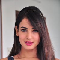 Sonal Chauhan Latest Gallery | Picture 1210017