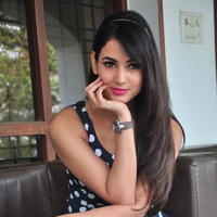 Sonal Chauhan Latest Gallery | Picture 1210026