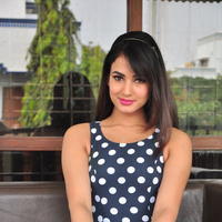 Sonal Chauhan Latest Gallery | Picture 1210035