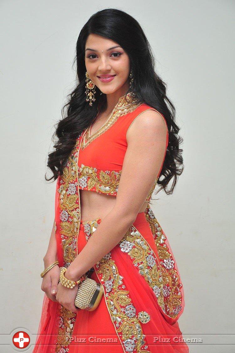 Mehreen at Krishna Gadi Veera Prema Gadha Audio Launch Stills | Picture 1210351