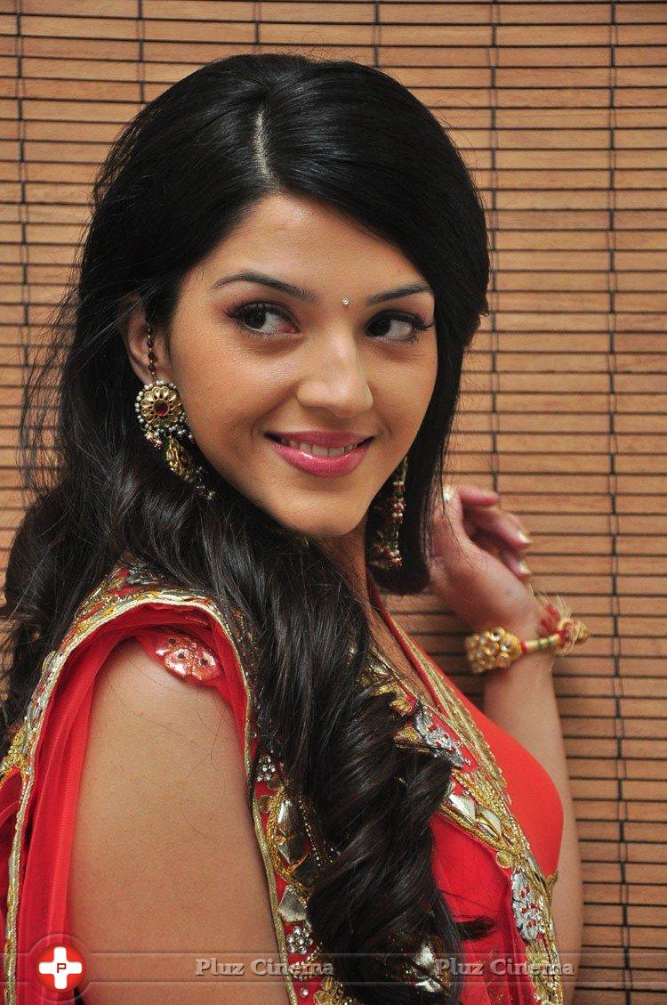 Mehreen at Krishna Gadi Veera Prema Gadha Audio Launch Stills | Picture 1210355