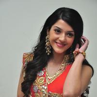 Mehreen at Krishna Gadi Veera Prema Gadha Audio Launch Stills | Picture 1210317