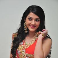 Mehreen at Krishna Gadi Veera Prema Gadha Audio Launch Stills | Picture 1210320