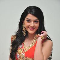 Mehreen at Krishna Gadi Veera Prema Gadha Audio Launch Stills | Picture 1210321