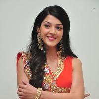 Mehreen at Krishna Gadi Veera Prema Gadha Audio Launch Stills | Picture 1210325