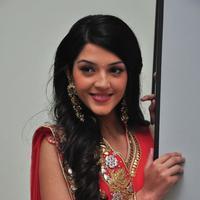 Mehreen at Krishna Gadi Veera Prema Gadha Audio Launch Stills | Picture 1210328