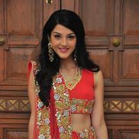 Mehreen at Krishna Gadi Veera Prema Gadha Audio Launch Stills | Picture 1210332