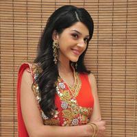 Mehreen at Krishna Gadi Veera Prema Gadha Audio Launch Stills | Picture 1210335