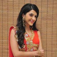 Mehreen at Krishna Gadi Veera Prema Gadha Audio Launch Stills | Picture 1210336