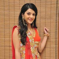 Mehreen at Krishna Gadi Veera Prema Gadha Audio Launch Stills | Picture 1210345