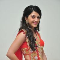 Mehreen at Krishna Gadi Veera Prema Gadha Audio Launch Stills | Picture 1210346