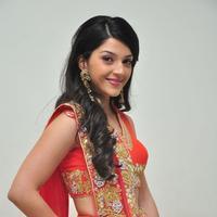 Mehreen at Krishna Gadi Veera Prema Gadha Audio Launch Stills | Picture 1210347