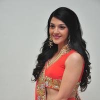 Mehreen at Krishna Gadi Veera Prema Gadha Audio Launch Stills | Picture 1210348