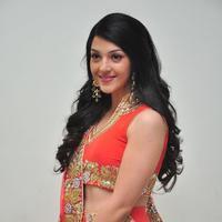 Mehreen at Krishna Gadi Veera Prema Gadha Audio Launch Stills | Picture 1210349