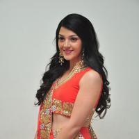 Mehreen at Krishna Gadi Veera Prema Gadha Audio Launch Stills | Picture 1210350