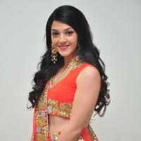 Mehreen at Krishna Gadi Veera Prema Gadha Audio Launch Stills | Picture 1210351