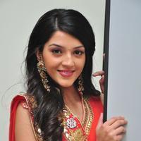 Mehreen at Krishna Gadi Veera Prema Gadha Audio Launch Stills | Picture 1210352