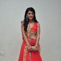 Mehreen at Krishna Gadi Veera Prema Gadha Audio Launch Stills | Picture 1210353