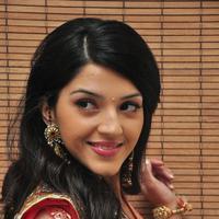 Mehreen at Krishna Gadi Veera Prema Gadha Audio Launch Stills | Picture 1210355