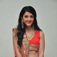 Mehreen at Krishna Gadi Veera Prema Gadha Audio Launch Stills | Picture 1210357