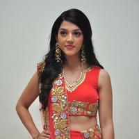 Mehreen at Krishna Gadi Veera Prema Gadha Audio Launch Stills | Picture 1210358